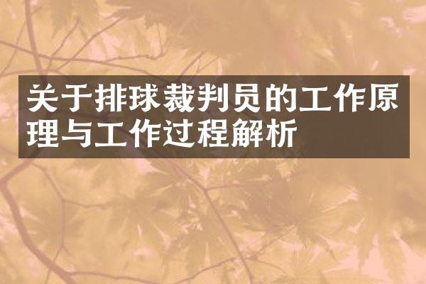 关于排球裁判员的工作原理与工作过程解析