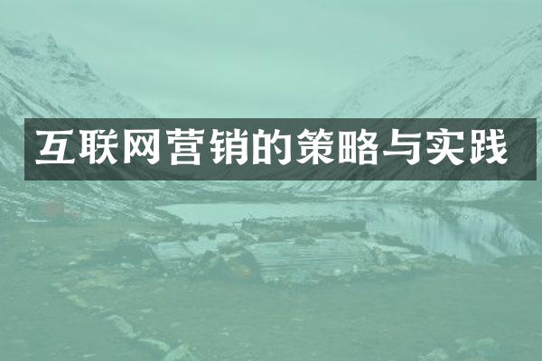 互联网营销的策略与实践