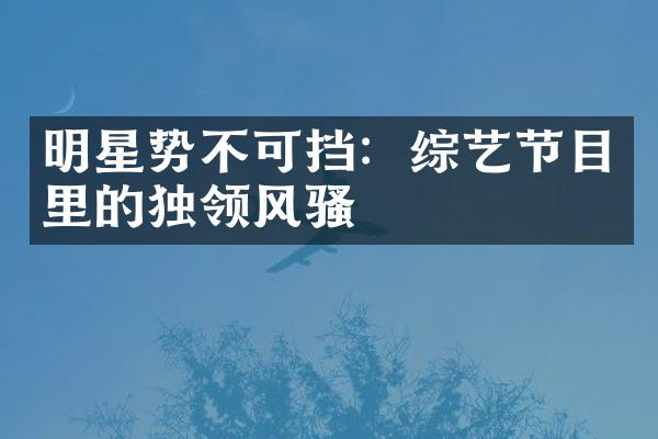 明星势不可挡：综艺节目里的独领风骚