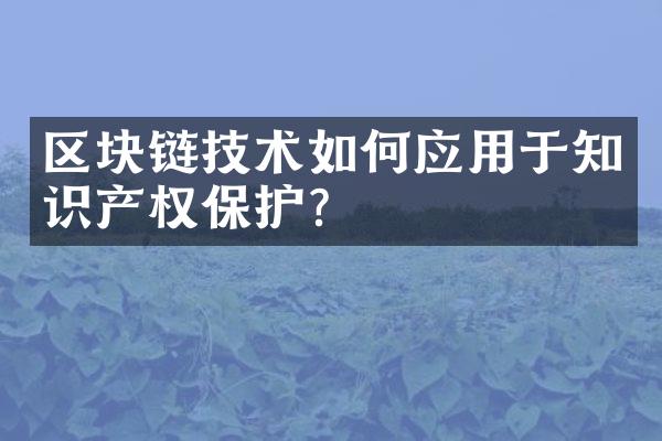 区块链技术如何应用于知识产权保护？