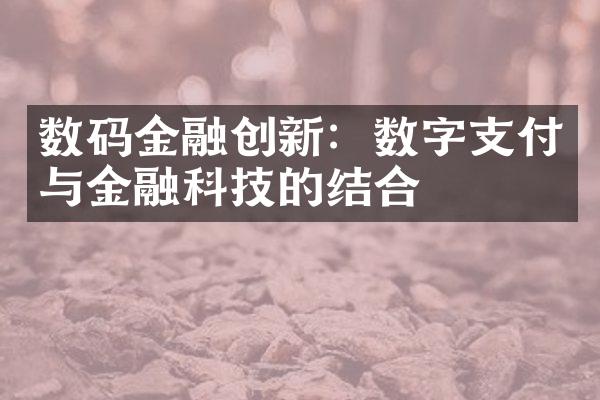 数码金融创新：数字支付与金融科技的结合