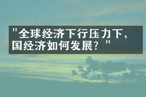 "全球经济下行压力下，中国经济如何发展？"