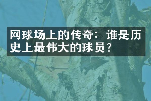 网球场上的传奇：谁是历史上最的球员？