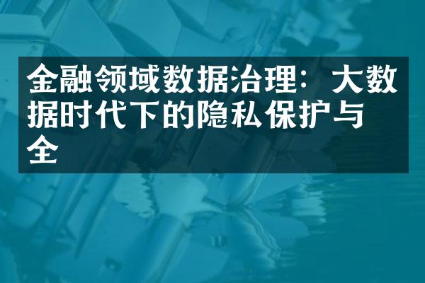 金融领域数据治理：数据时代下的隐私保护与安全