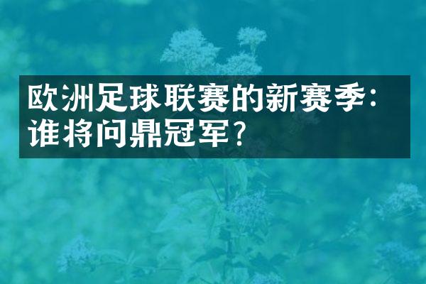 欧洲足球联赛的新赛季：谁将问鼎冠军？