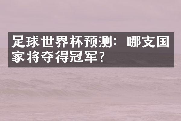 足球世界杯预测：哪支国家将夺得冠军？