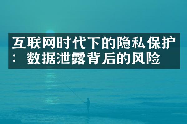 互联网时代下的隐私保护：数据泄露背后的风险