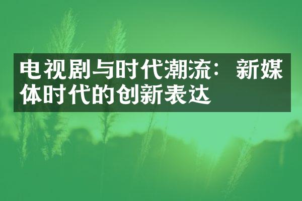 电视剧与时代潮流：新媒体时代的创新表达