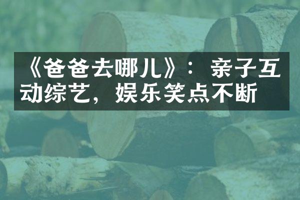 《爸爸去哪儿》：亲子互动综艺，娱乐笑点不断