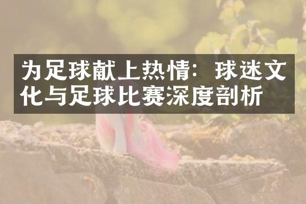 为足球献上热情：球迷文化与足球比赛深度剖析