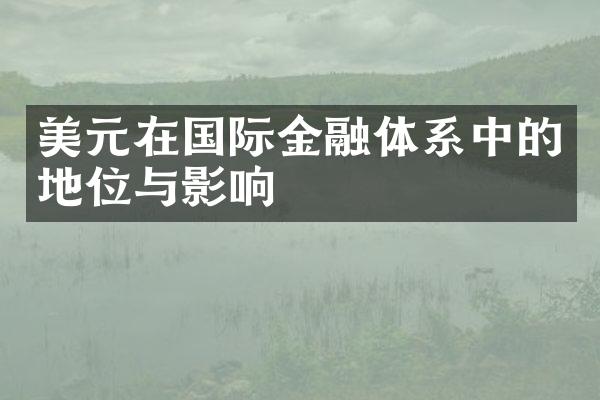 美元在国际金融体系中的地位与影响