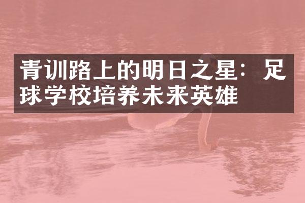 青训路上的明日之星：足球学校培养未来英雄