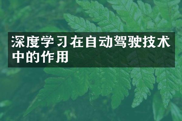 深度学习在自动驾驶技术中的作用