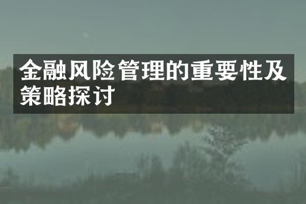 金融风险管理的重要性及策略探讨