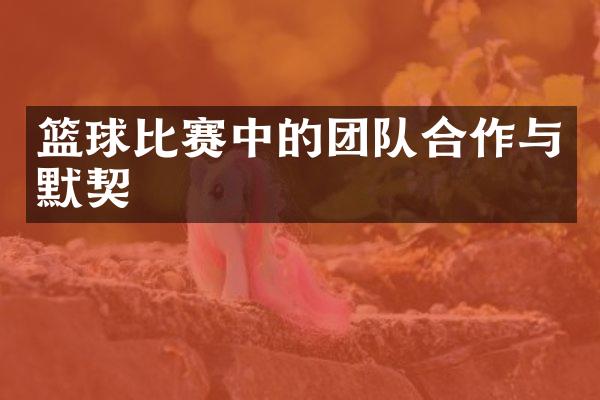 篮球比赛中的团队合作与默契