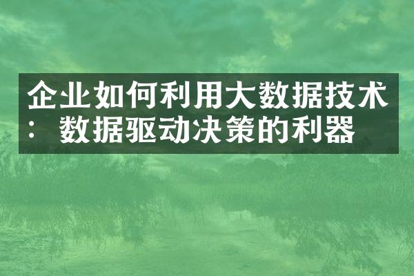 企业如何利用大数据技术：数据驱动决策的利器