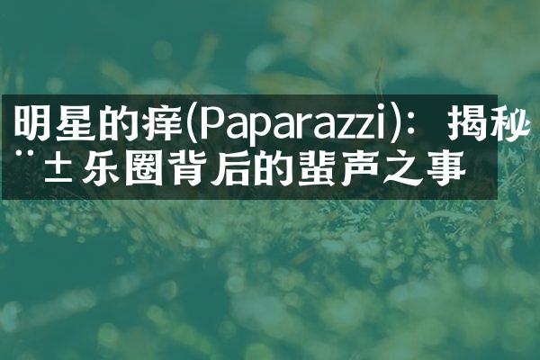 明星的痒(Paparazzi)：揭秘娱乐圈背后的蜚声之事