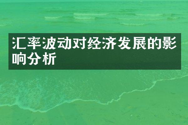 汇率波动对经济发展的影响分析