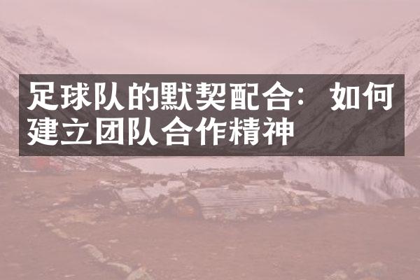 足球队的默契配合：如何建立团队合作精神