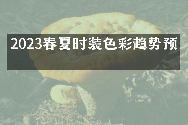 2023春夏时装色彩趋势预测