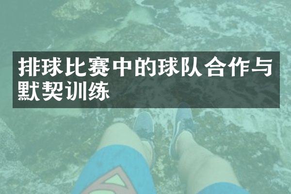 排球比赛中的球队合作与默契训练