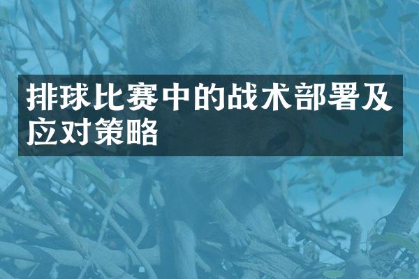 排球比赛中的战术部署及应对策略