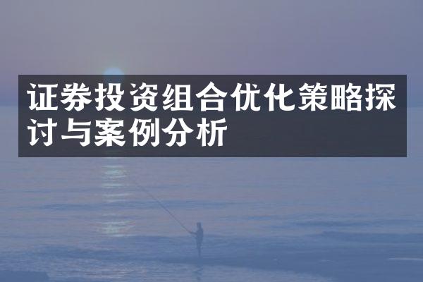 证券投资组合优化策略探讨与案例分析