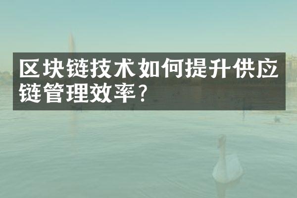 区块链技术如何提升供应链管理效率？