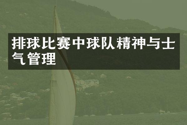 排球比赛中球队精神与士气管理