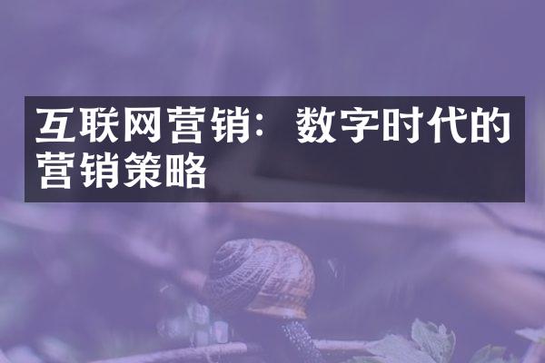 互联网营销：数字时代的营销策略