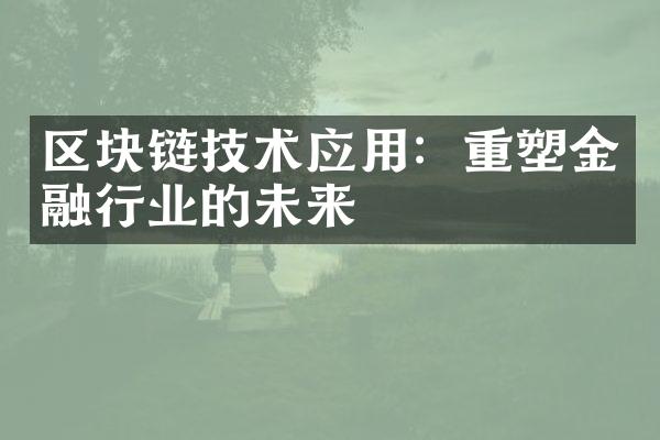 区块链技术应用：重塑金融行业的未来