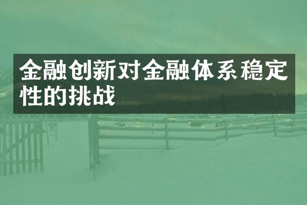 金融创新对金融体系稳定性的挑战