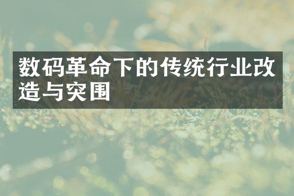 数码革命下的传统行业改造与突围