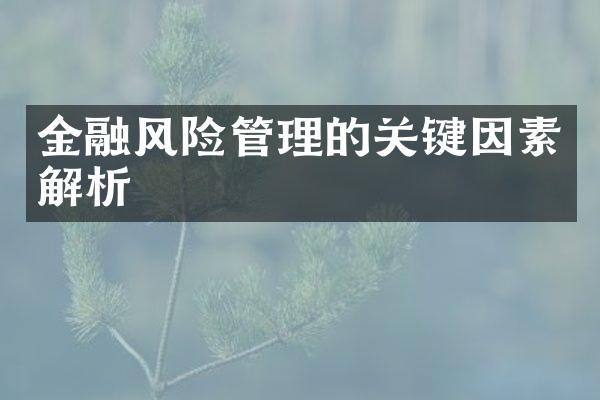 金融风险管理的关键因素解析