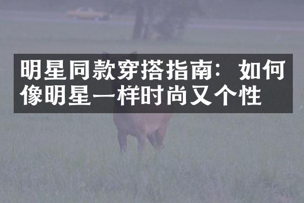 明星同款穿搭指南：如何像明星一样时尚又个性