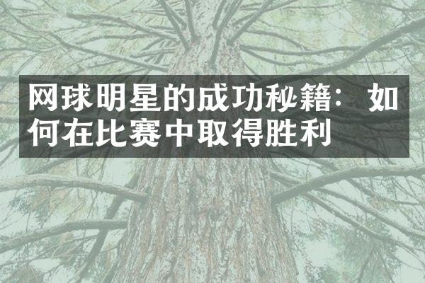 网球明星的成功秘籍：如何在比赛中取得胜利