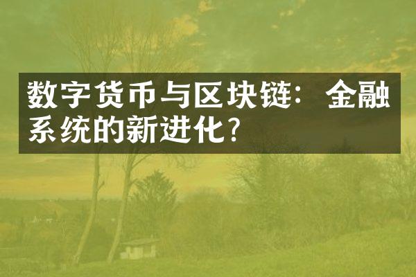 数字货币与区块链：金融系统的新进化？