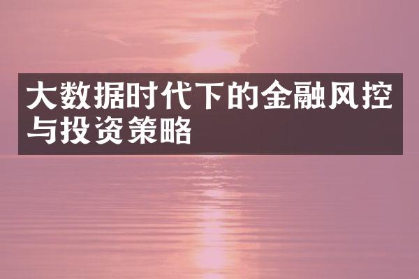 大数据时代下的金融风控与投资策略