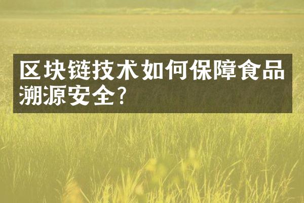 区块链技术如何保障食品溯源安全？