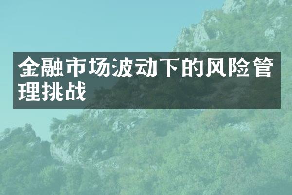 金融市场波动下的风险管理挑战