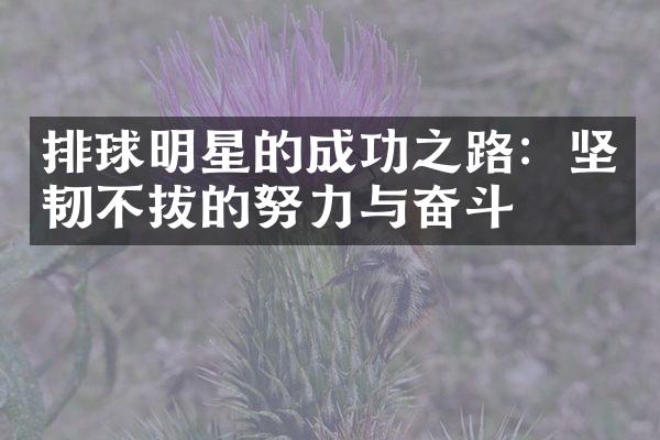 排球明星的成功之路：坚韧不拔的努力与奋斗