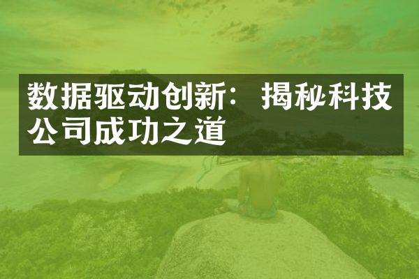 数据驱动创新：揭秘科技公司成功之道