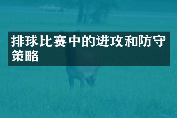 排球比赛中的进攻和防守策略