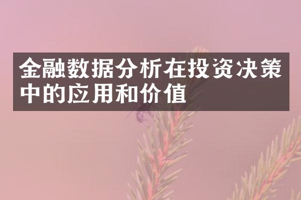 金融数据分析在投资决策中的应用和价值