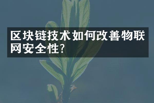 区块链技术如何改善物联网安全性？