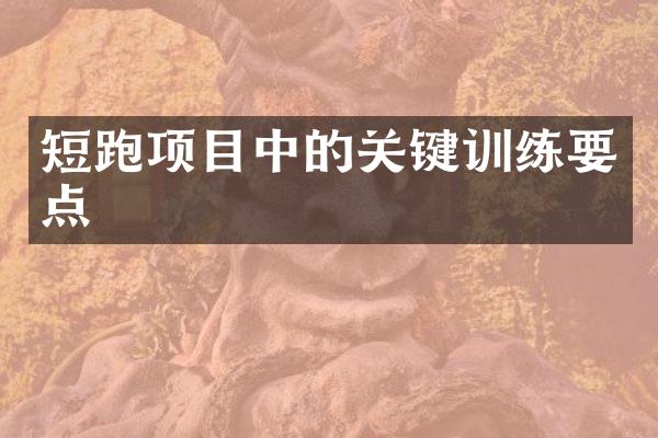 短跑项目中的关键训练要点