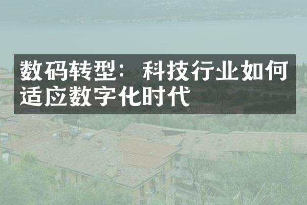 数码转型：科技行业如何适应数字化时代