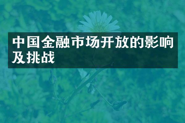 中国金融市场开放的影响及挑战