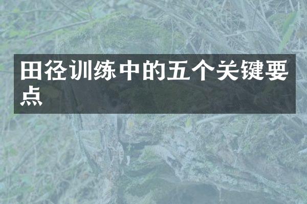 田径训练中的五个关键要点