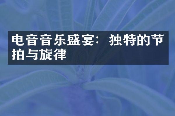 电音音乐盛宴：独特的节拍与旋律